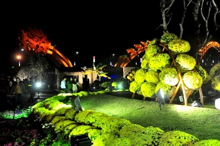 Vườn hoa Xuân đón du khách đến tham quan