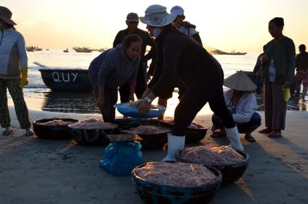 Ngư dân Đà Nẵng trúng mùa ruốc đầu năm - 7 Cảnh mua bán ruốc tấp nập trên bãi biển.