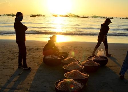 Ngư dân Đà Nẵng trúng mùa ruốc đầu năm - 2 Ruốc được đưa vào bờ và chuẩn bị đưa đến các chợ