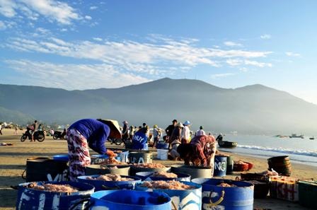 Ngư dân Đà Nẵng trúng mùa ruốc đầu năm - 5 Buổi sáng, hàng trăm người tập trung mua bán ruốc trên bãi biển