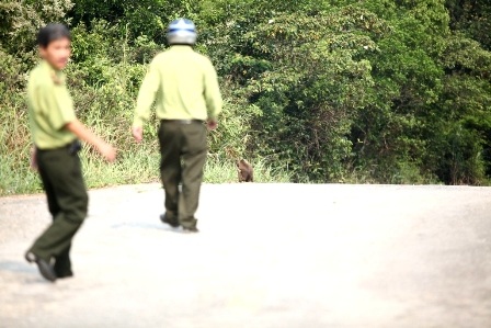 Các kiểm lâm viên cầm dụng cụ đi theo sau