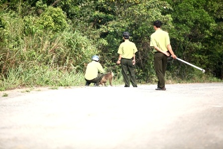 Các kiểm lâm viên cầm dụng cụ đi theo sau