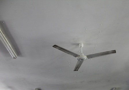 Hiện tượng thấm dột tại Trường 