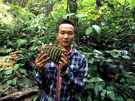Nhặt được hàm răng "khủng" hóa thạch khi đi hái nấm - 2 Anh Linh với hàm răng hóa thạch