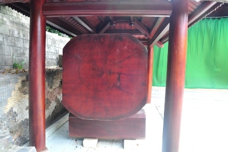 Khúc gổ khủng trưng bày trong biệt phủ