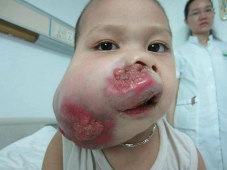 Hạnh phúc những người trở về từ… cõi chết - 5 Hạnh phúc những người trở về từ… cõi chết