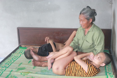 Thương hai ông bà lão hít mùi xú uế của con suốt 30 năm - 1 Thương hai ông bà lão hít mùi xú uế của con suốt 30 năm