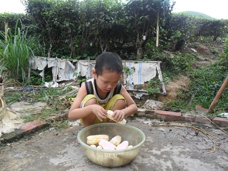 Cuộc sống khốn khó của em bé mù nơi… bìa rừng - 2 Thiệp phụ bố mẹ bóc ngô