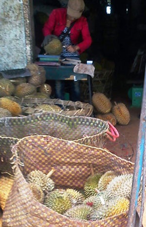 Kinh hãi trái cây bị “ép” chín bằng hóa chất - 3 Kinh hãi trái cây bị “ép” chín bằng hóa chất - 3