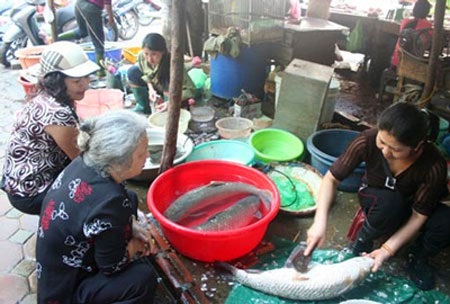 Đổ xô đi chợ "chạy" bão - 3 Đổ xô đi chợ "chạy" bão - 3