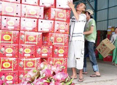 Thương nhân Trung Quốc thay đổi cách làm ăn tại Việt Nam - 1 Thương nhân Trung Quốc thay đổi cách làm ăn tại Việt Nam - 1