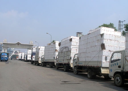 Phải làm rõ việc thương lái Trung Quốc tranh mua - 1 Phải làm rõ việc thương lái Trung Quốc tranh mua - 1