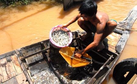 Phát lộc nhờ... nước lũ - 1