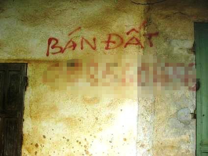 Đất Ba Vì: Hỏi mua rồi... lặn mất tăm  - 1