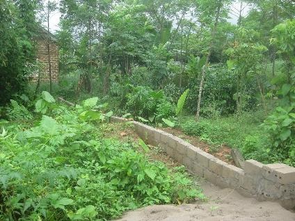 Đất Ba Vì: Hỏi mua rồi... lặn mất tăm  - 4