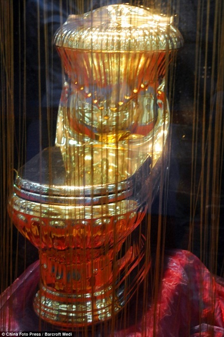 Độc đáo chiếc bồn cầu mạ vàng trị giá hơn 4 tỷ đồng - 3