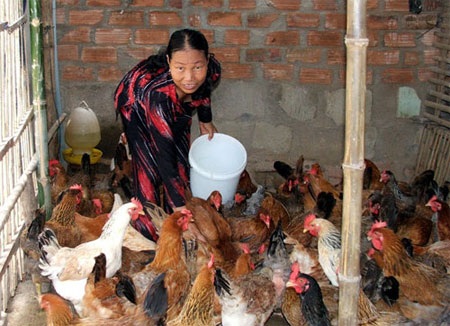 Thịt ngoại “đè” thịt nội - 1