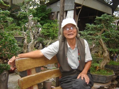 Giá mai Tết tăng gấp 2-3 lần năm ngoái - 4