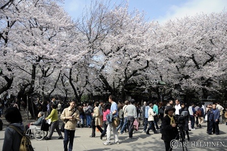 Vietravel kích cầu du lịch đầu năm giá “cực sốc” - 1