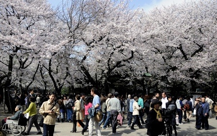 Xuất ngoại ngắm lễ hội hoa - 2 Xuất ngoại ngắm lễ hội hoa - 2