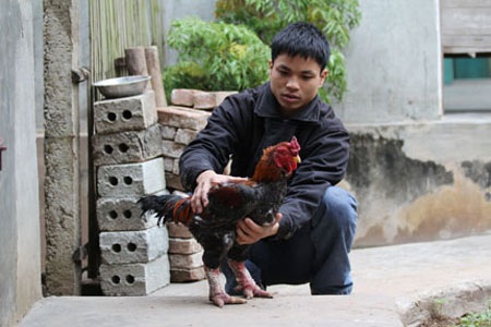 Đại gia săn gà Đông Cảo: Họ là ai? - 1 Đại gia săn gà Đông Cảo: Họ là ai? - 1