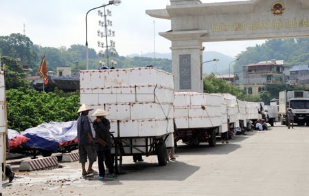 Xuất siêu 7 tháng, vẫn nhập siêu gần 8,5 tỷ USD từ Trung Quốc - 1 Theo đường chính ngạch, Việt Nam vẫn đang xuất siêu hoa quả sang Trung Quốc.