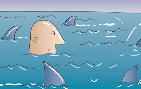 Vì đâu và về đâu Bianfishco? - 1 Vì đâu và về đâu Bianfishco?
