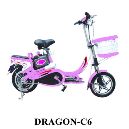Xe máy điện và xe đạp điện Dragon - 1 Xe máy điện và xe đạp điện Dragon
