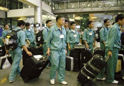 Cơ hội cho 1.300 lao động ngành ngư nghiệp làm việc tại Hàn Quốc - 1 Cơ hội cho 1.300 lao động ngành ngư nghiệp làm việc tại Hàn Quốc
