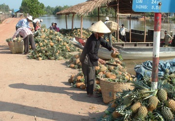 Thương lái Trung Quốc: Trước dễ dãi, sau lật lọng! - 1 Thương lái Trung Quốc: Trước dễ dãi, sau lật lọng! - 1