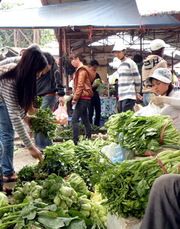 Rau xanh tăng giá “sốc”, hàng Trung Quốc dội chợ - 1 Rau xanh đắt đỏ do mưa ngập.