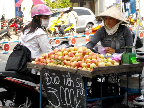 Hàng Việt khó ngoi lên - 1 Đào Trung Quốc được gắn “mác” đào tiên Sapa để dễ bán.