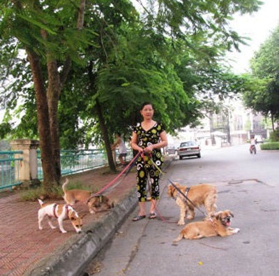 Dắt chó đi dạo, lương hơn 6 triệu/tháng - 1 Công việc này vừa sức mình mà thu nhập lại tốt và ổn định