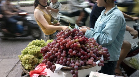 Bán nho Mỹ "dỏm" thu nhập ngang... giám đốc - 1 Các loại nho nghi của Trung Quốc bán tràn lan trên đường phố Thủ đô