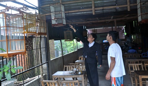 Một góc chợ chim ở Đà Thành