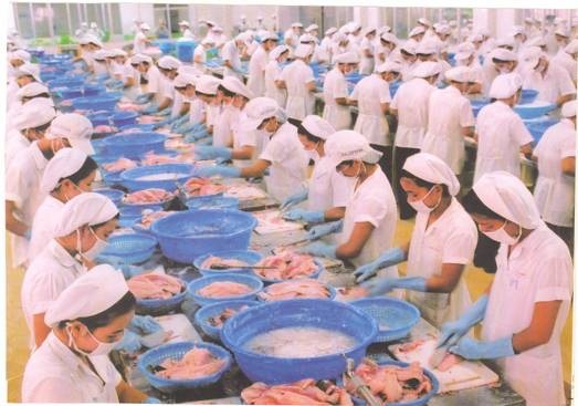 Cú sốc mới của doanh nghiệp thủy sản - 1 Cú sốc mới của doanh nghiệp thủy sản