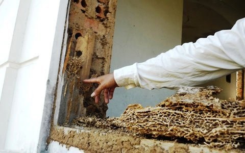 Cận cảnh dự án 50 triệu đô “chết yểu” - 3 Nhiều hạng mục trong các căn hộ đã hư hỏng, xuống cấp trầm trọng.