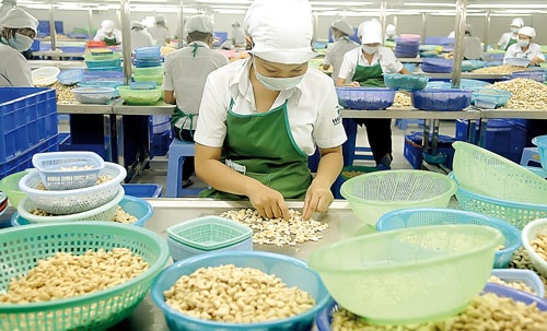 Cắt giảm lao động: Hợp lý, tránh vội vàng - 1 Nhiều DN rơi vào cảnh thiếu hụt lao động trầm trọng do lỡ cắt giảm nhân sự mạnh tay.