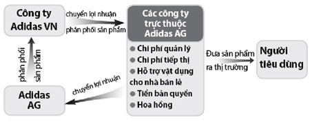 Adidas Việt Nam lòng vòng chuyển giá - 2 Nguyên nhân dẫn đến lợi nhuận không tương xứng tại Adidas Việt
