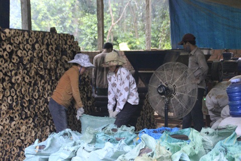 Cơ sở sản xuất củi trấu của anh Minh