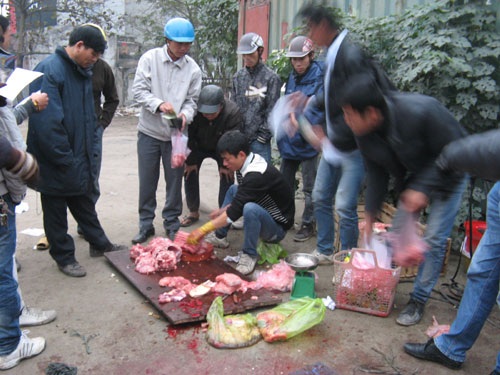 Xẻ thịt cá sấu bán trên vỉa hè - 7 Đắt hàng như tôm tươi