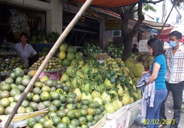 Chọn bưởi ở siêu thị không có cành lá hay chọn bưởi ở chợ?