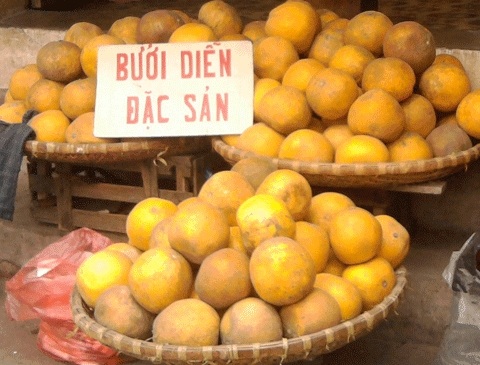 Đặc sản bưởi Diễn, chủ yếu là giả - 2 Đặc sản bưởi Diễn, chủ yếu là giả