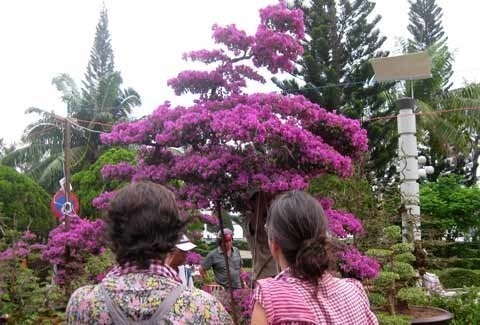 Du khách nước ngoài chiêm ngưỡng tác phẩm.