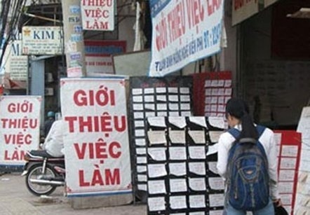 Lao động Tết, kiếm 1 triệu/ngày - 1 Sốt việc làm dịp Tết
