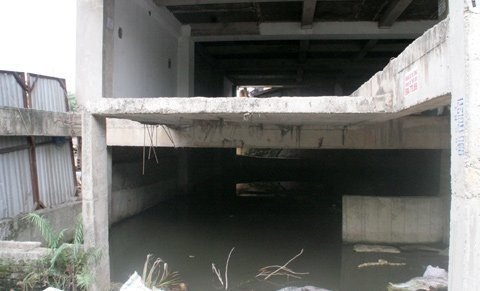 Biệt thự triệu đô thành ao cá, chuồng gà - 2 Biệt thự triệu đô thành ao cá, chuồng gà