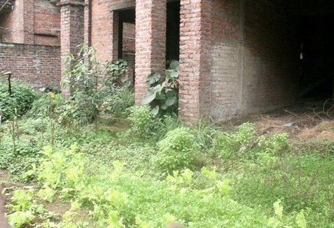 Biệt thự triệu đô thành ao cá, chuồng gà - 3 Biệt thự triệu đô thành ao cá, chuồng gà