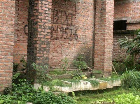 Biệt thự triệu đô thành ao cá, chuồng gà - 4 Biệt thự triệu đô thành ao cá, chuồng gà
