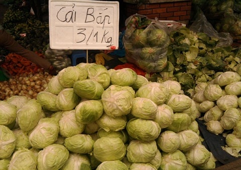 Giá rẻ, người dân không buồn thu hoạch vứt bỏ su hào đầy ruộng