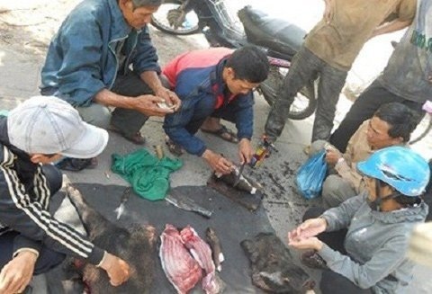 Mổ thịt cá mập, trăn khủng trên vỉa hè - 4 Làm thịt heo rừng